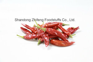 Dehydrated Red Chilli with Good Price